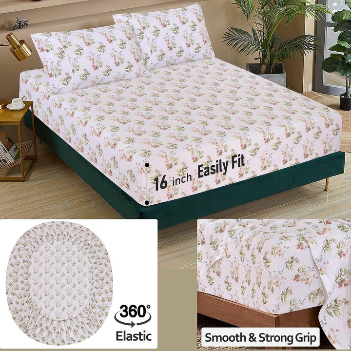Cotton Sheet Queen